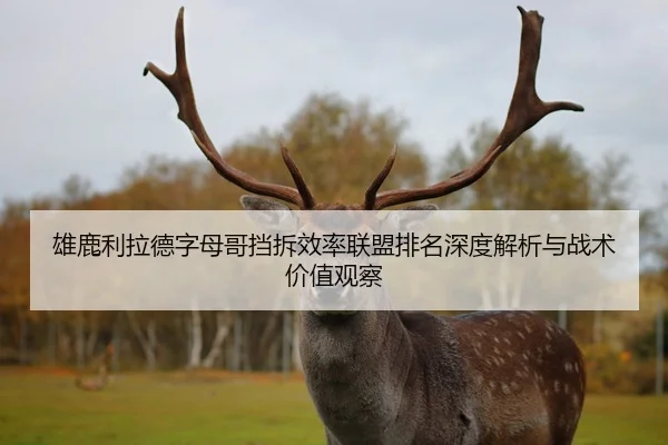 雄鹿利拉德字母哥挡拆效率联盟排名深度解析与战术价值观察
