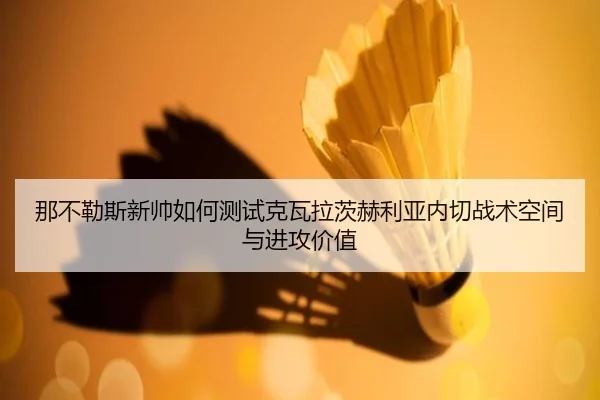 那不勒斯新帅如何测试克瓦拉茨赫利亚内切战术空间与进攻价值