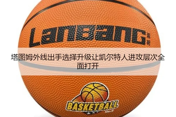img_1784538357584_184_1_197.jpg